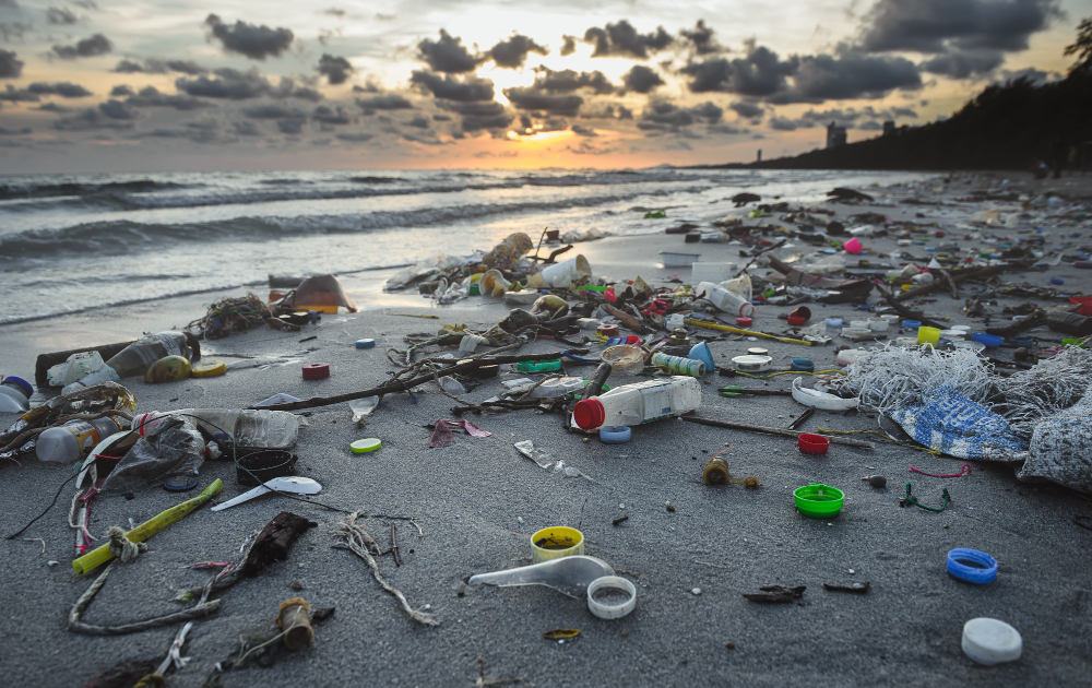 World Environment Day: Stakeholders at Unity Bank Webinar Demand Urgent Action on Plastic Pollution